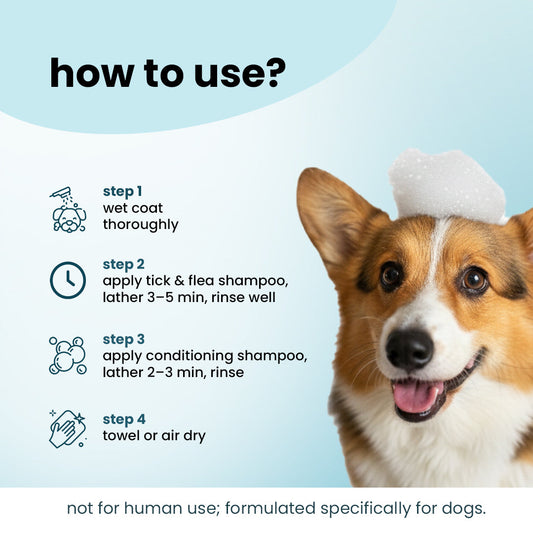 Dirty Doggie Combo: Conditioning Shampoo + Tick & Flea Shampoo (300 ml Buy1Get1 FREE) | Neem, Vitamin E & Coat Repair