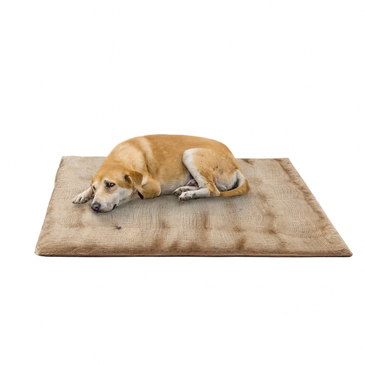 Bed for Dogs & Cats | Eco-Friendly, Soft & Durable Pet Sleeping Mat – Small (65 x 52 x 5 cm)